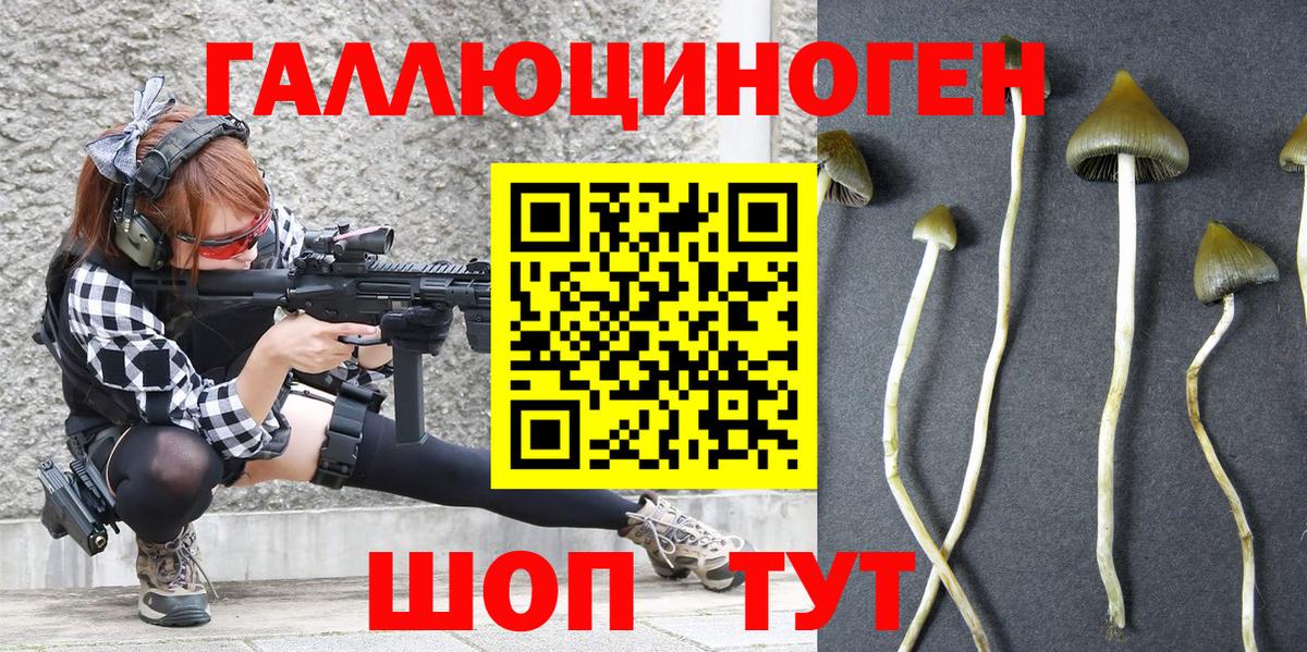 Екатеринбург  Псилоцибиновые грибы MAGIC MUSHROOMS  Вход с VPN 